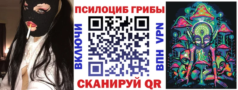 хочу   Терек  Псилоцибиновые грибы прущие грибы 